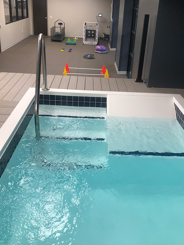 Sports Medicine Vet in Greenfield Midwest Veterinary Specialists