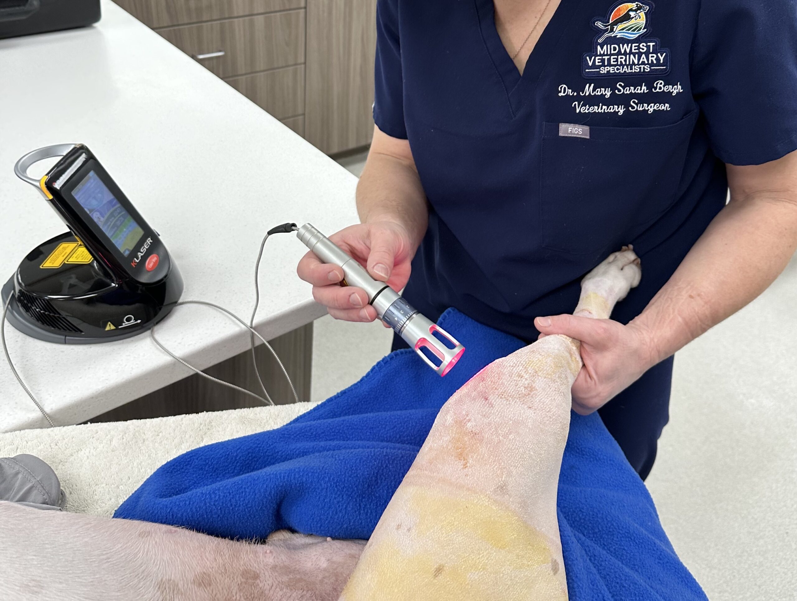 Pet Laser Therapy Midwest Veterinary Specialists