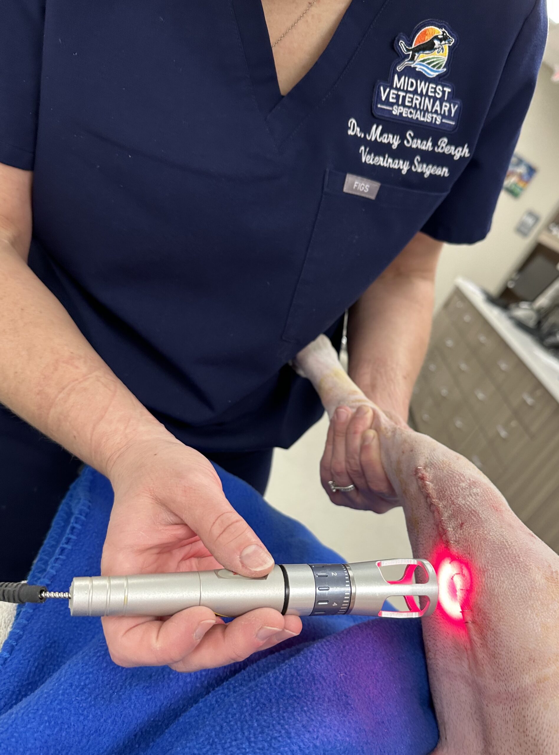 Pet Laser Therapy Midwest Veterinary Specialists